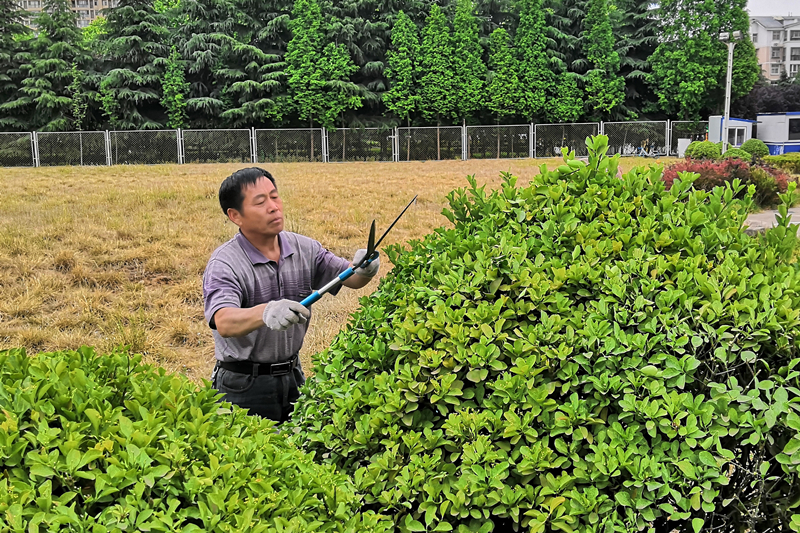 用汗水梳洗著園區的容貌